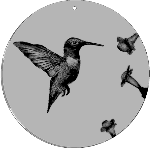 CineSpinner 3 1/2" Hummingbird