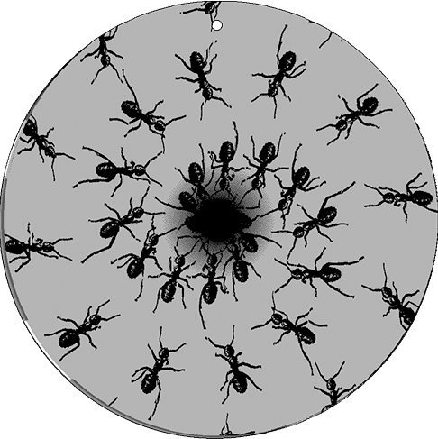 CineSpinner 5 1/2" Ants