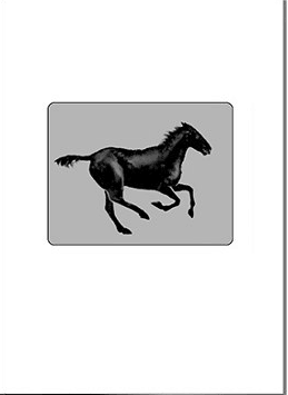 SmartMove™ Animated Cards Horse 