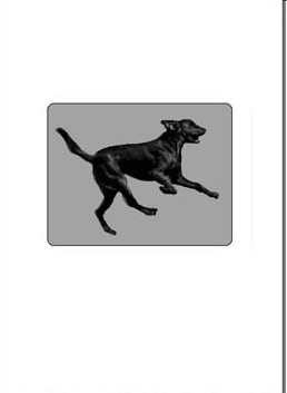 SmartMove™ Animated Cards Black Lab